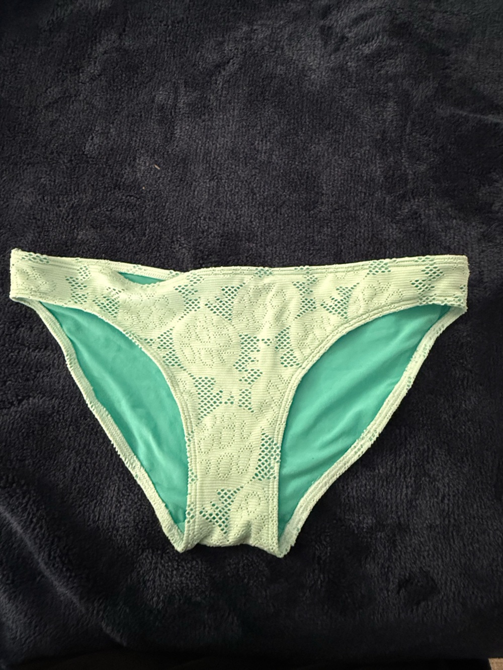 aerie Mint Lace Bikini Bottoms - Light Mint